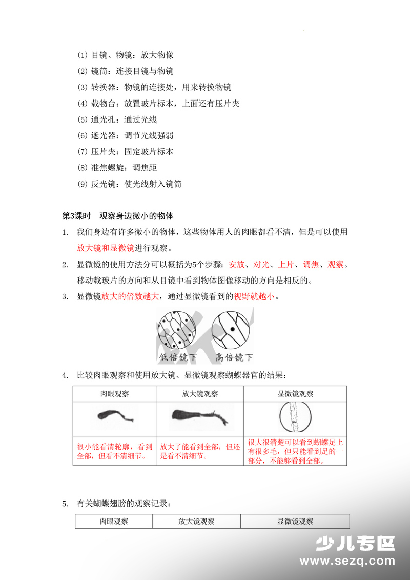 六年级上册科学知识总结（教科版） - 文档资源第2张