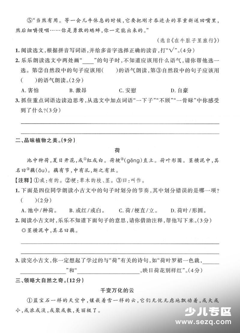 2025年三年级上册语文期末测试卷6套（含答案含答题卡） - 文档资源第3张