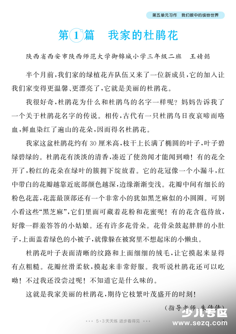2025年秋季三年级上册语文第五单元习作我们眼中的缤纷世界（范文集） - 文档资源第2张