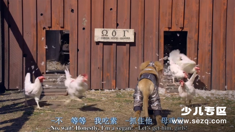 超级巴迪 - 电影资源画廊第6张