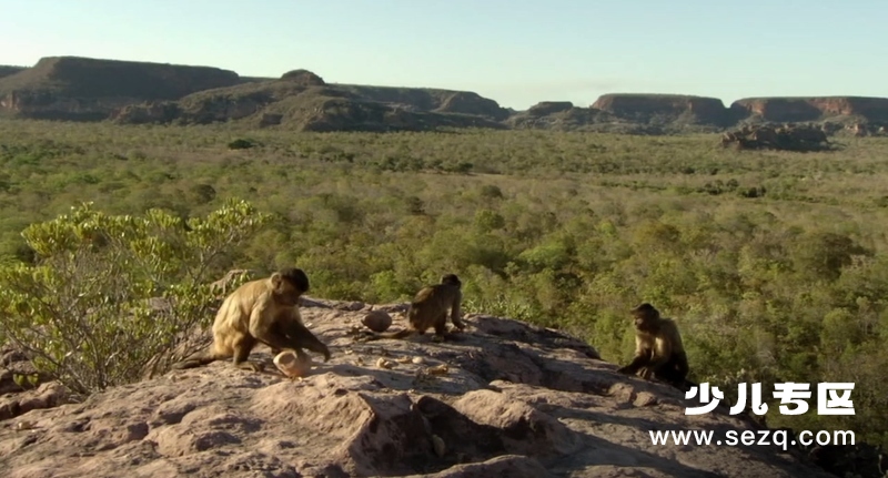 地球生灵 - 电影资源画廊第9张