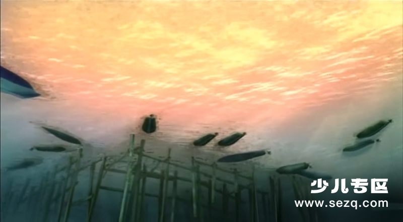 海鲜陆战队 - 电影资源画廊第2张