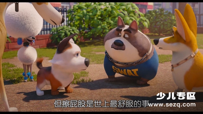 萌宠流浪记 - 电影资源画廊第9张