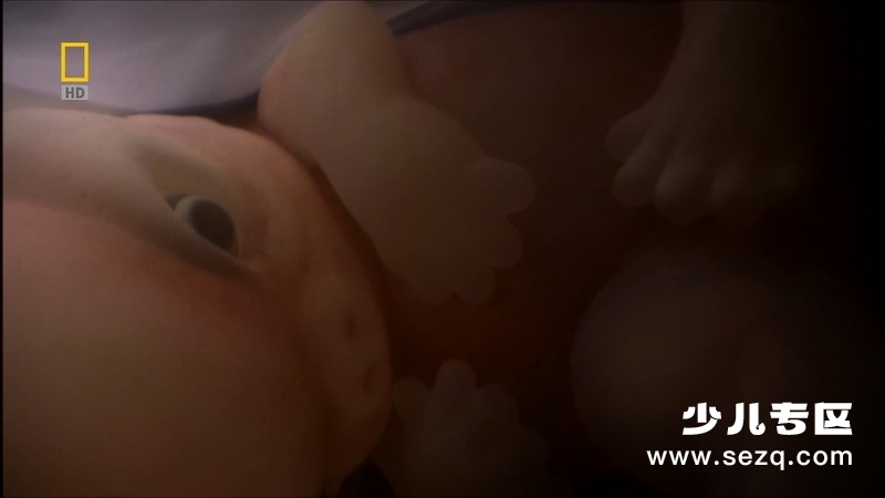 子宫日记：人类篇 - 电影资源画廊第3张