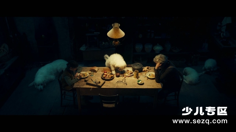 灵犬雪莉3 - 电影资源画廊第2张