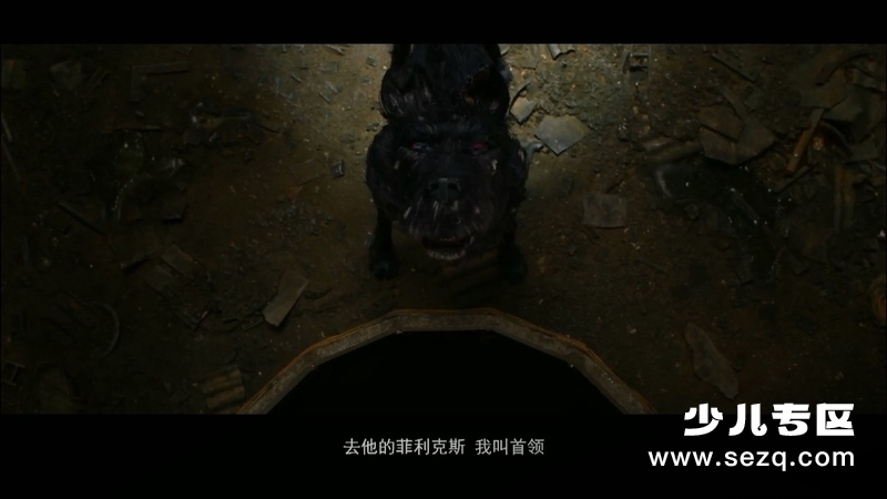 犬之岛 - 电影资源画廊第2张