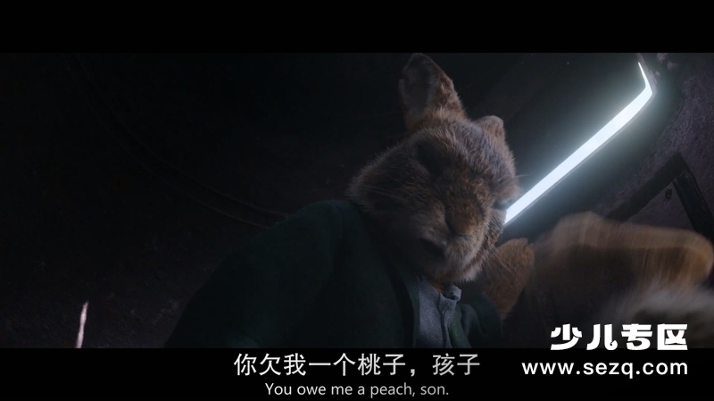 比得兔2：逃跑计划 - 电影资源画廊第3张