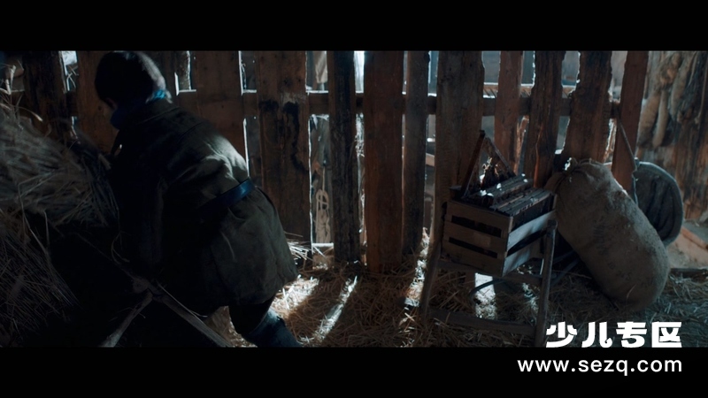 灵犬雪莉3 - 电影资源画廊第8张