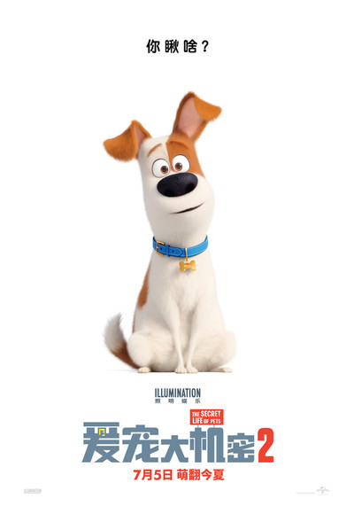 美国动画电影《爱宠大机密2 TheSecretLifeofPets2》中英双语 MP4下载 - 少儿专区
