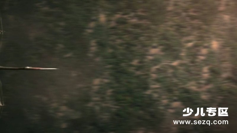 动物大对决 - 动画资源画廊第7张