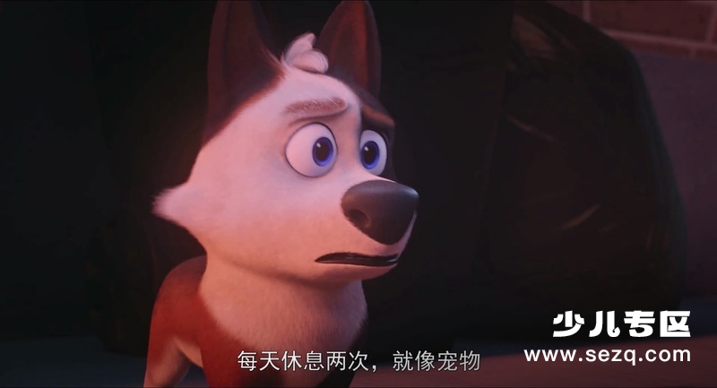 萌宠流浪记 - 电影资源画廊第8张