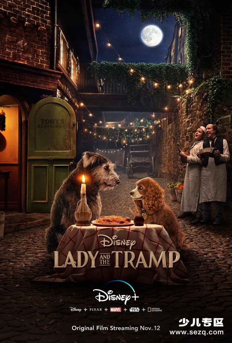 小姐与流浪汉 - 电影资源画廊第1张