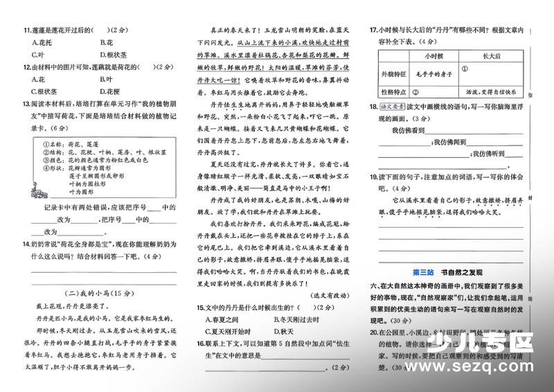 2026年春季三年级下册语文第一单元培优情境卷（含作文纸答案） - 文档资源第2张