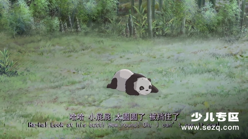 大熊猫传奇 - 电影资源画廊第3张