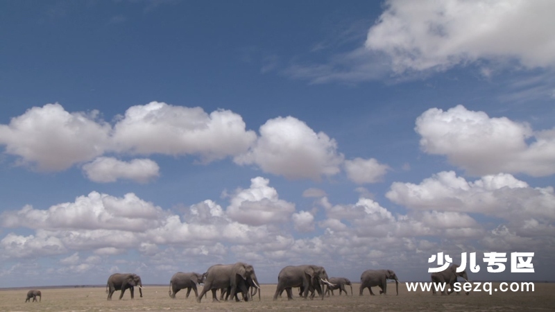 生命 - 动画资源画廊第8张