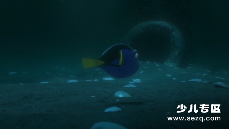 海底总动员2：多莉去哪儿 - 电影资源画廊第6张