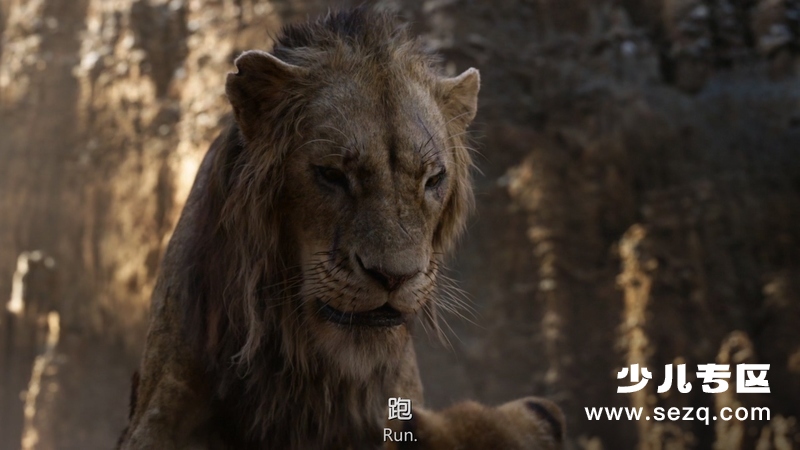 狮子王 - 电影资源画廊第6张