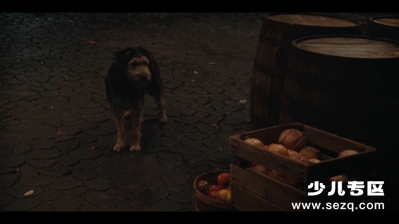 小姐与流浪汉 - 电影资源画廊第8张