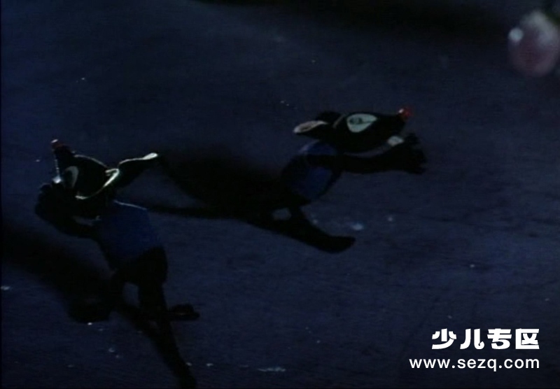 老猪选猫 - 电影资源画廊第8张