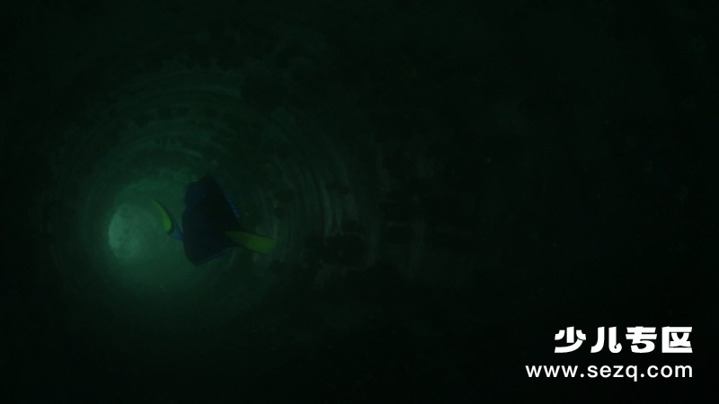 海底总动员2：多莉去哪儿 - 电影资源画廊第7张