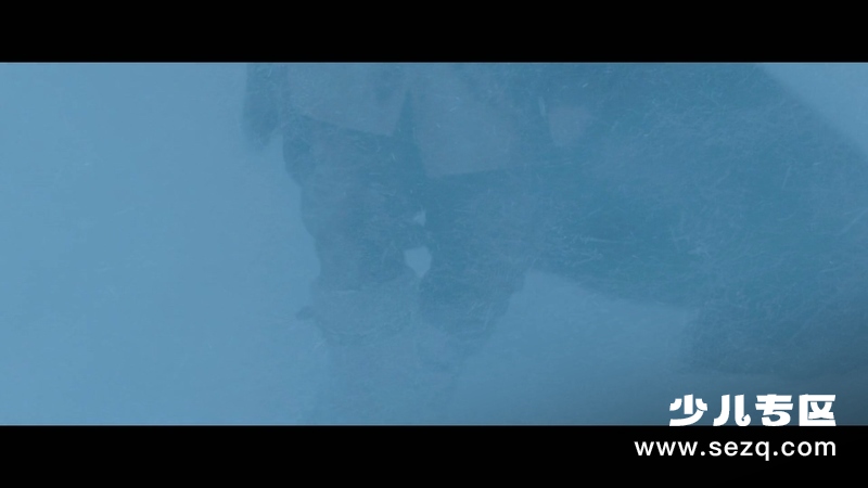 灵犬雪莉3 - 电影资源画廊第9张