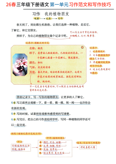 2026年三年级下册语文习作范文及技巧点拨（1-8单元）（16页） - 少儿专区