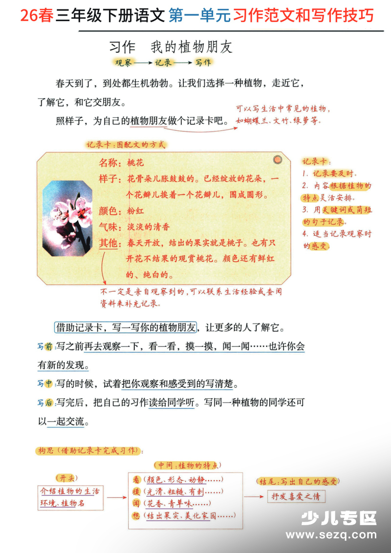 2026年三年级下册语文习作范文及技巧点拨（1-8单元） - 文档资源第1张