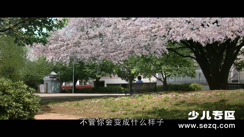 狗狗心事 - 电影资源画廊第8张