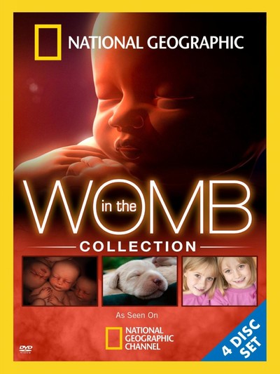 纪录片《子宫日记：人类篇 In the Womb》英语中字 MKV下载 - 少儿专区