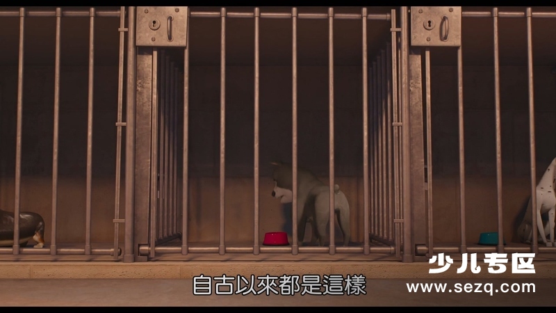 萌宠流浪记 - 电影资源画廊第6张