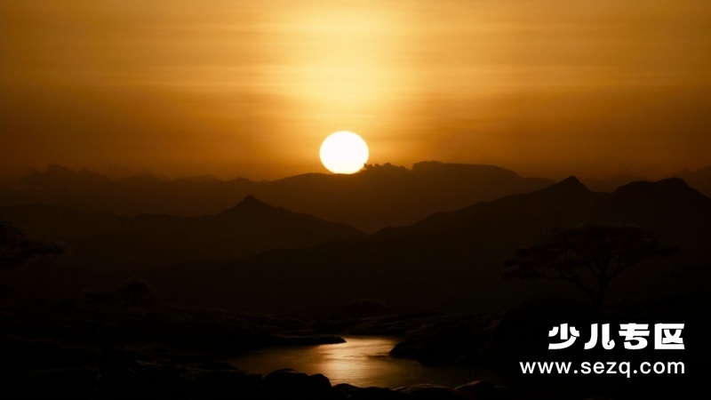 狮子王 - 电影资源画廊第5张