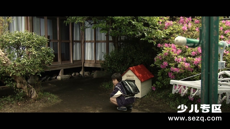 狗狗心事 - 电影资源画廊第9张