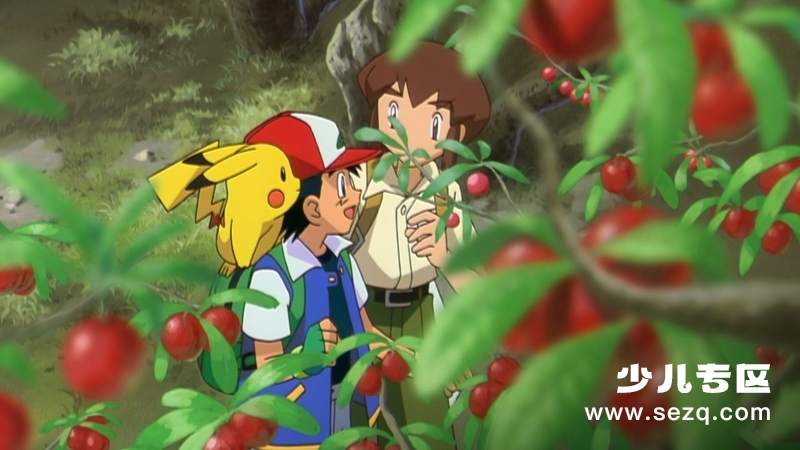 神奇宝贝剧场版：雪拉比穿梭时空的相遇 - 电影资源画廊第9张