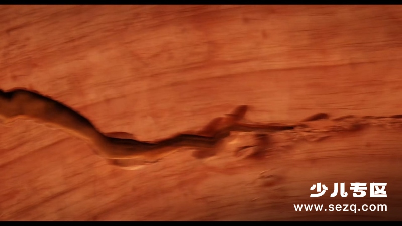 魔咒奇缘 - 电影资源画廊第4张