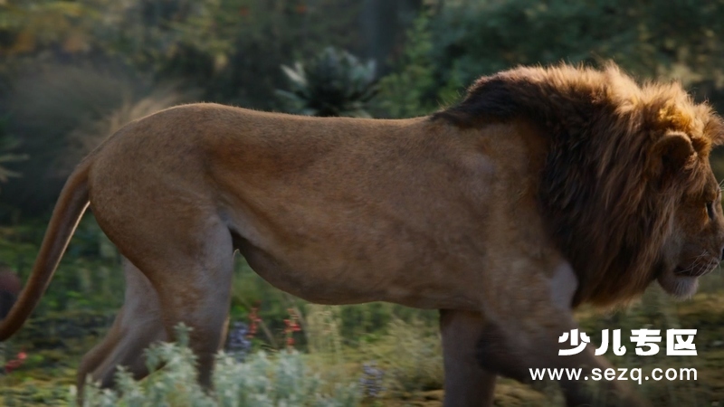 狮子王 - 电影资源画廊第2张