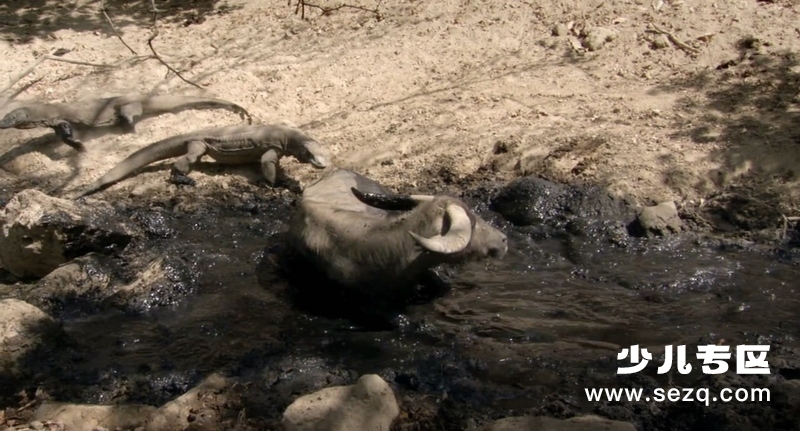 地球生灵 - 电影资源画廊第6张