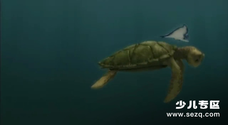 海鲜陆战队 - 电影资源画廊第4张