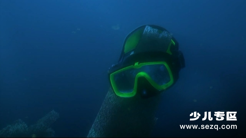 海底总动员 - 电影资源画廊第5张