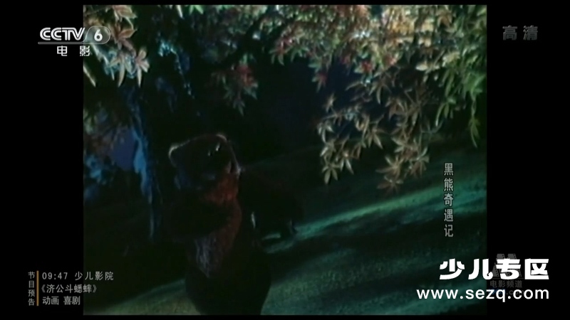 黑熊奇遇记 - 电影资源画廊第8张