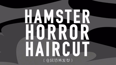 超级英雄动画《斯坦·李的超级英雄幼儿园 Stan Lee's Superhero Kindergarten》第一季 英语中英双字 全26集MP4下载 - 少儿专区