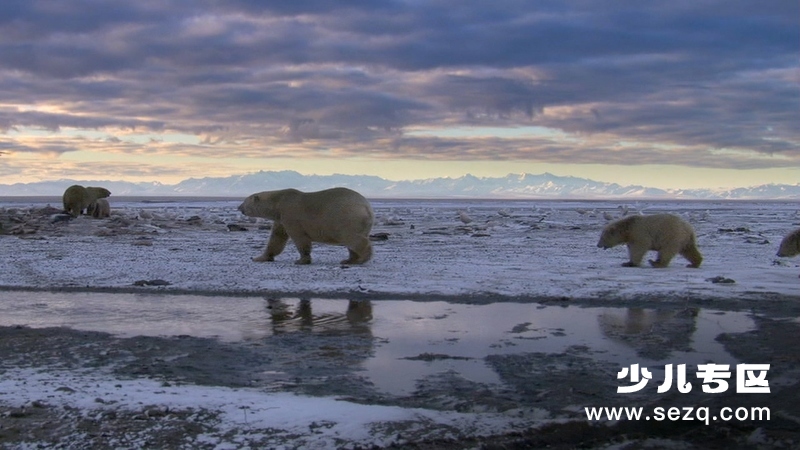 生命 - 动画资源画廊第6张