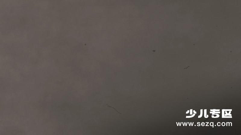 幻想曲 - 电影资源画廊第4张