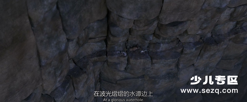 斑马总动员 - 电影资源画廊第8张