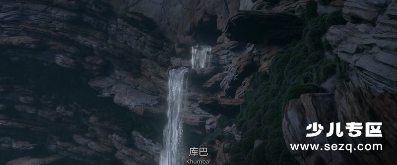 斑马总动员 - 电影资源画廊第4张