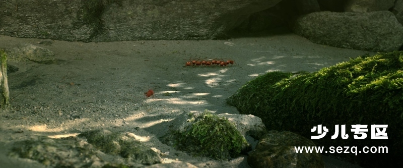 微观小世界:迷失的蚂蚁谷 - 电影资源画廊第2张