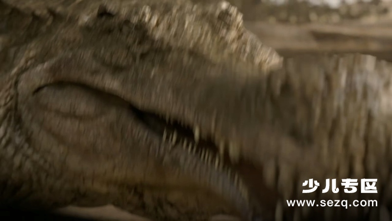 动物大对决 - 动画资源画廊第3张