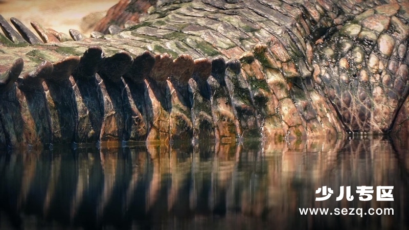 动物大对决 - 动画资源画廊第4张