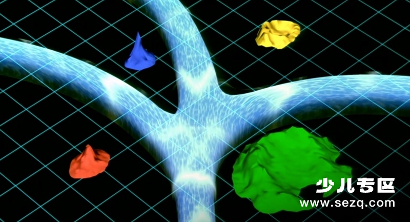 精灵宝可梦：洛奇亚爆诞 - 电影资源画廊第8张