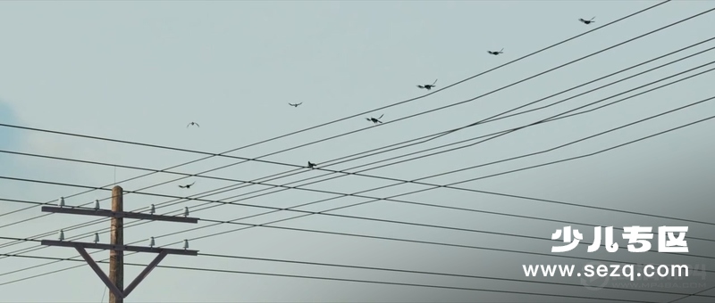 龙在哪里 - 电影资源画廊第2张