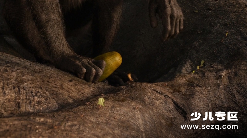 狮子王 - 电影资源画廊第9张